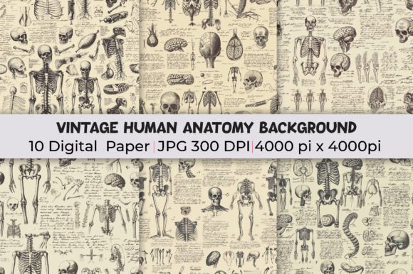 Unearthing Elegance: The Allure of Vintage Human Anatomy Backgrounds